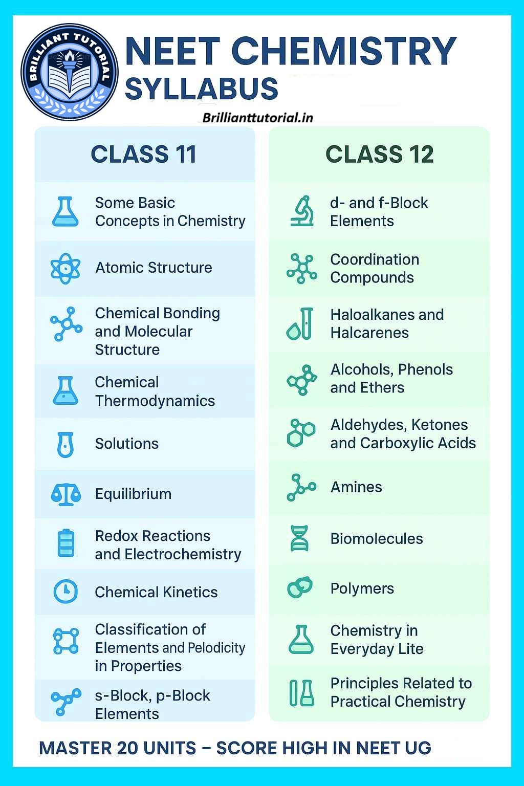 NEET Syllabus Chemistry